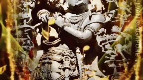வயலை தேடி கண்ணன் TMS LEGEND M.THIRAVIDA SELVAN SINGAPORE TMS FANS 2025
