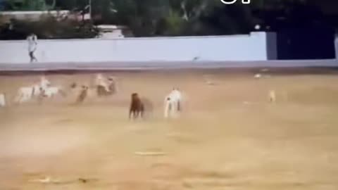 bad choice of parks to run through