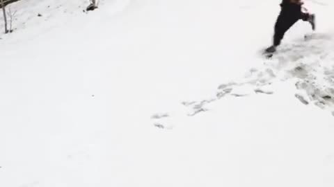 😂🤯 This Unexpected Move Will SHOCK You! | FunFM