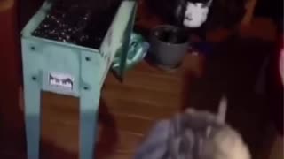 🤢🤮 To Mate with a Dog | FunFM