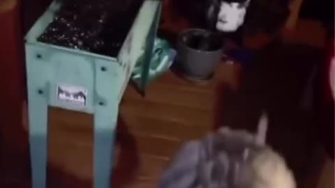 🤢🤮 To Mate with a Dog | FunFM