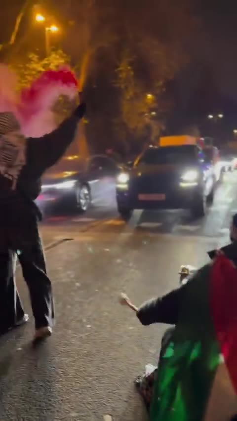 Pro-Palestine activists in London closed the streets in solidarity with Palestine