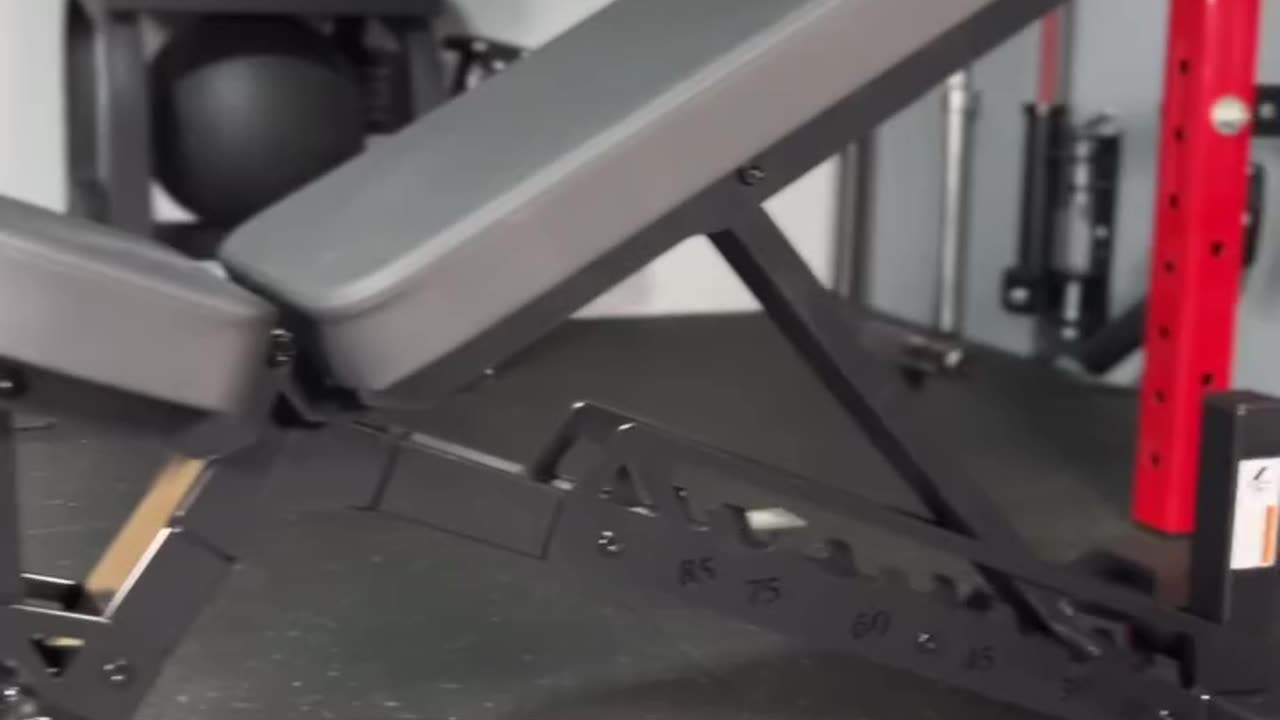 Rep Fitness Nighthawk Bench Preview