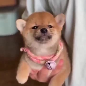 The rear propeller is in good working order