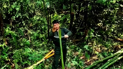 1 year survival in the forest part 1