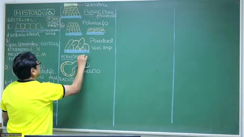 VONEX REPASO 2025 - 1 | Semana 02 | Anatomía