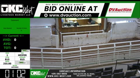 7/23/2025 - Feeder Calf Auction - OKC West
