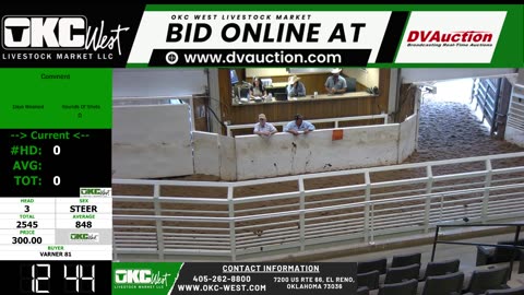 7/23/2025 - Feeder Calf Auction - OKC West