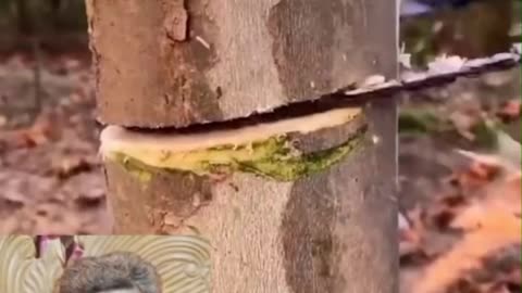 Pocket Chainsaw Testing This Viral Survival Tool