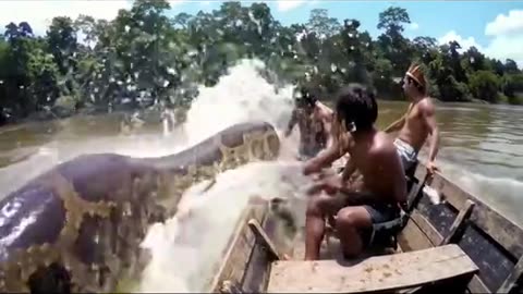 close call with giant Anaconda naturalscary trending waves viral fish trendnow ship northsea