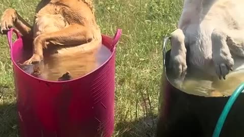 How hot was it today 🤣