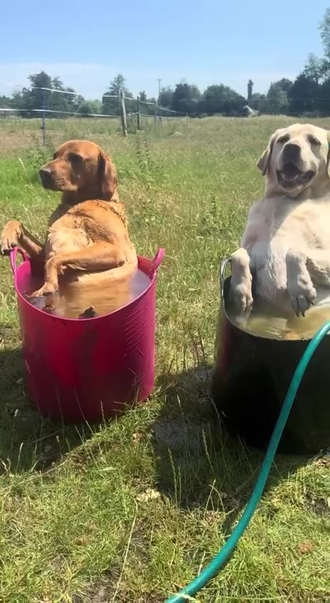 How hot was it today 🤣