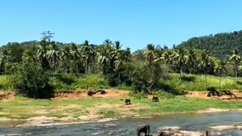 Travel and tourism