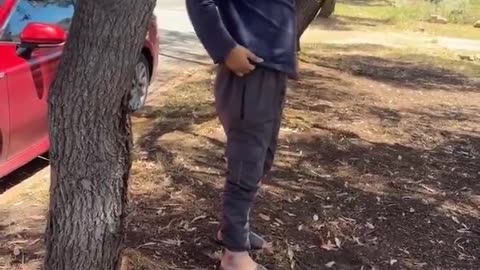 Aussie catches immigrant about to defecate in the street in Adelaide in broad daylight.