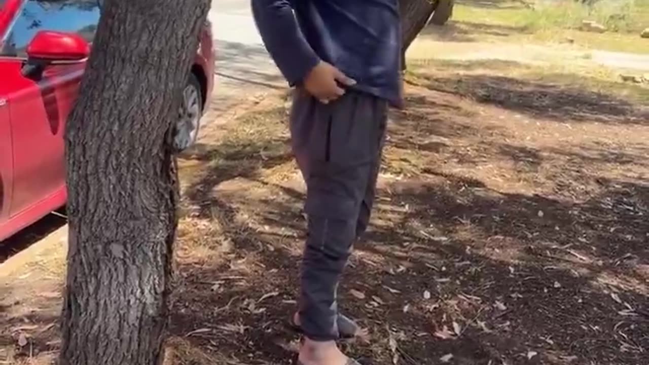 Aussie catches immigrant about to defecate in the street in Adelaide in broad daylight.