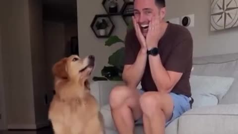 🐶🤯 Dog Demands Backup! | FunFM