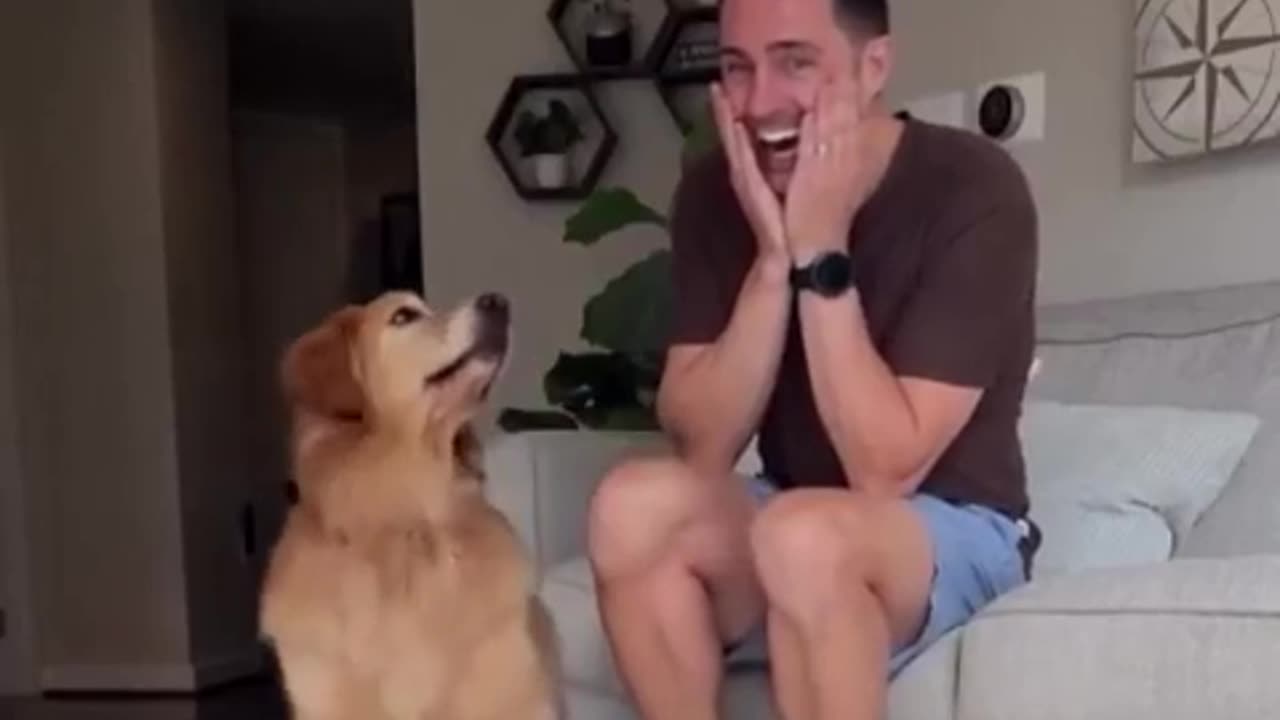 🐶🤯 Dog Demands Backup! | FunFM