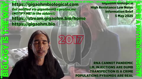 Gigaohm Biological High Resistance Low Noise Information Brief