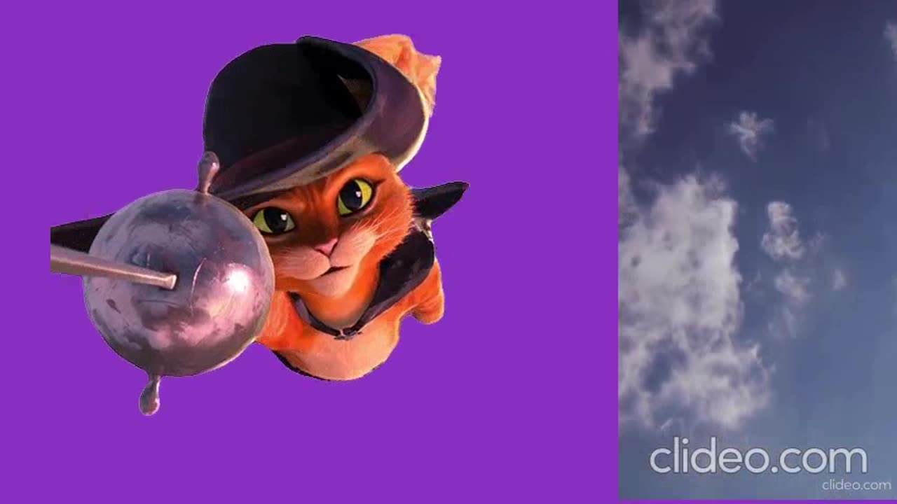 leilao ediçao mundo da musica completo.mp4