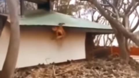 😱👻 Paranormal Activity Caught on Camera! | TheHauntingHour