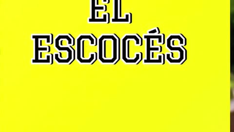 Why is everyone obsessed with this yellow notebook called El Escocés? #stationerylove #notebookgoals
