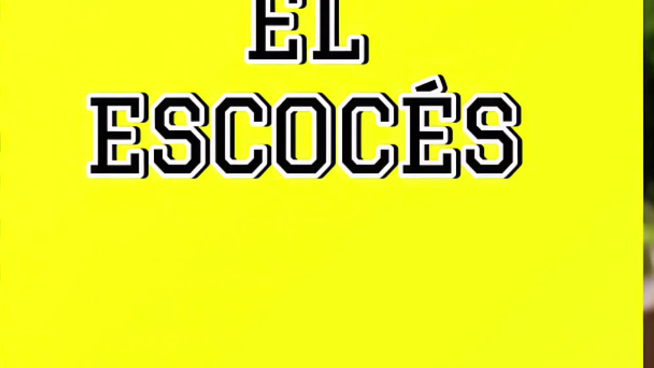 Why is everyone obsessed with this yellow notebook called El Escocés? #stationerylove #notebookgoals