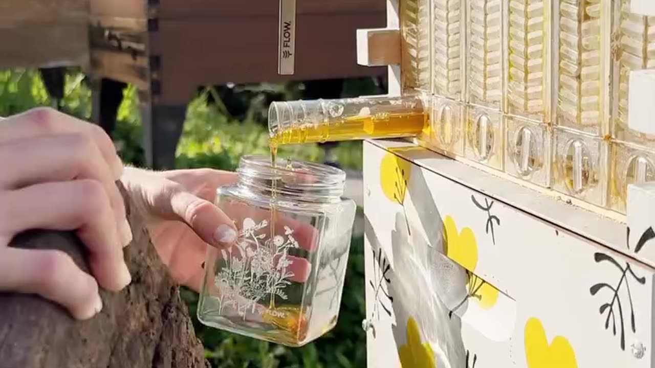 Your garden needs a Flow Hive. 🐝 , honey easily,