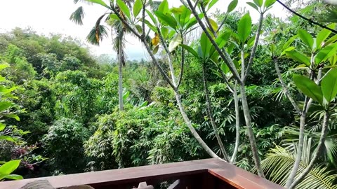 SURFING the LONGEST WAVE in BALI and FINDING PEACE 🇮🇩