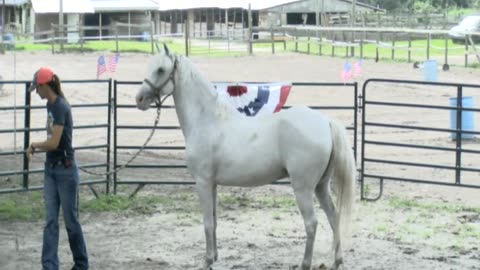 Skipper Calder & Cowboy-up Ministry bring horse training with a message at 11am.
