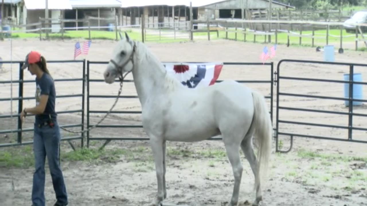Skipper Calder & Cowboy-up Ministry bring horse training with a message at 11am.