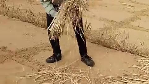 China's GOBI DESERT