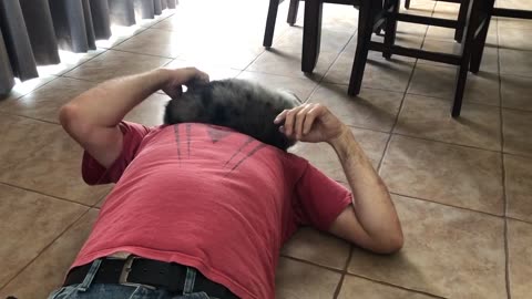 Misty's First Day At Home 2023