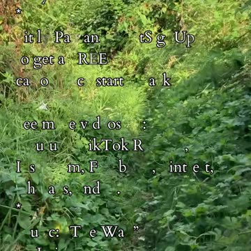 The From Of Connection | Path and Tarot Reading