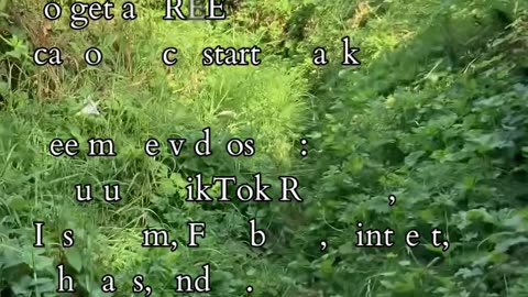 The From Of Connection | Path and Tarot Reading