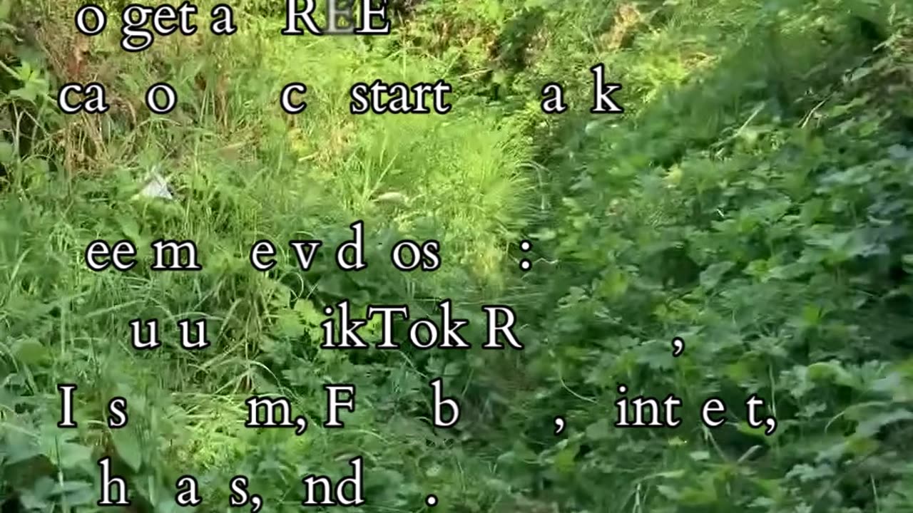 The From Of Connection | Path and Tarot Reading