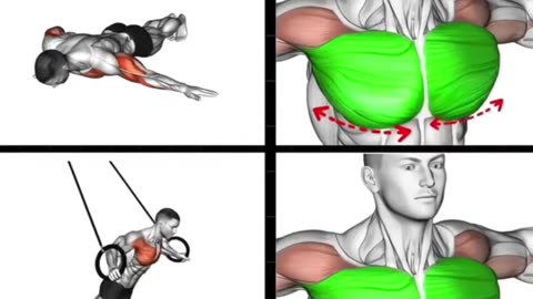 BEST EXERCISES FOR BACK shorts shortvideo youtubeshorts