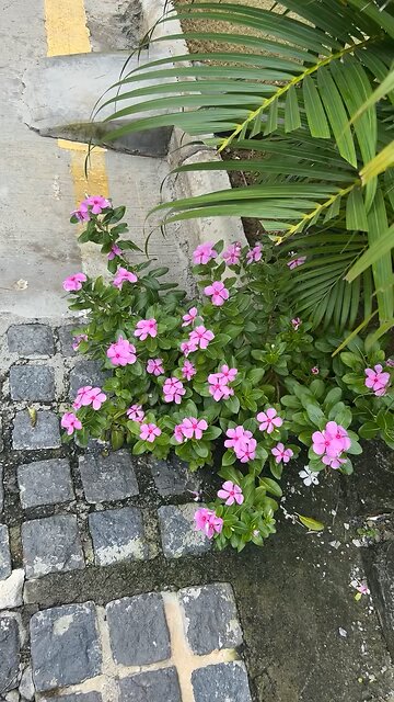 Office Outside View 🌦️ | Beautiful Weather & Peaceful Vibes #shorts