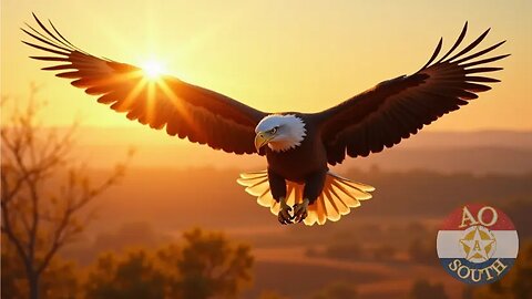 Take Control: Your Path to Freedom with AOSouth (52 Sec)