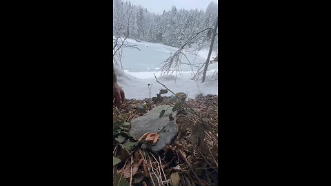 Doğal Taş Üzerinde Dana Pirzola ❄️ 🥩 cooking veal chops on natural stone