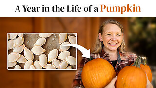 The #1 "Self-Preserving" Food We Grow Every Year