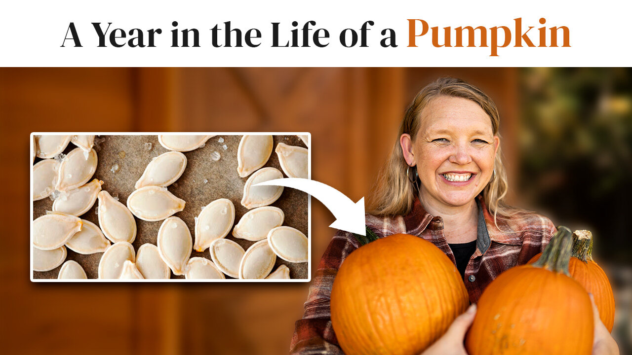 The #1 "Self-Preserving" Food We Grow Every Year