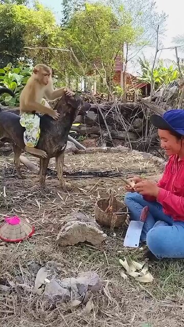 Well Best SokYaa, OG, Pao & Mom Are Famous Around The World #shorts #anime #trend #edit