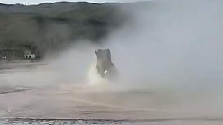 TaraBull - Dissolved bison in Yellowstone