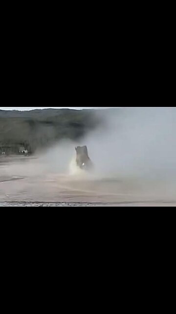 TaraBull - Dissolved bison in Yellowstone