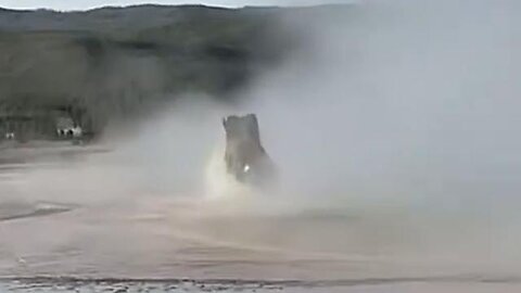 TaraBull - Dissolved bison in Yellowstone