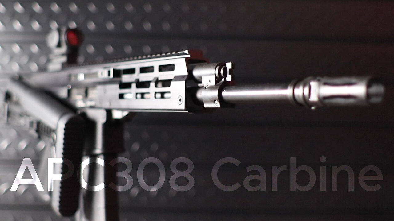 B&T APC308 Pro Carbine