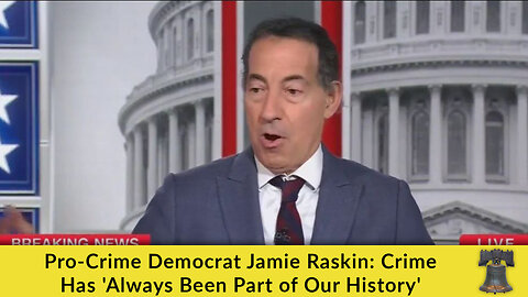Pro-Crime Democrat Jamie Raskin: Crime Has 'Always Been Part of Our History'