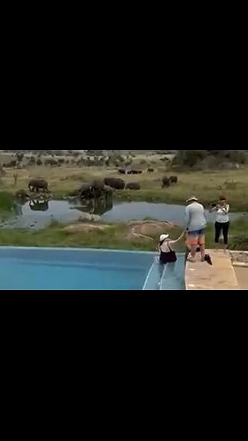 😎 My Tanzania Trip (June 2025) 🐘