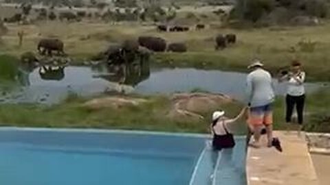😎 My Tanzania Trip (June 2025) 🐘