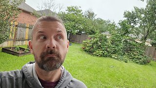 TreeLDR Tuesday